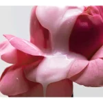 Ab-10790.webp