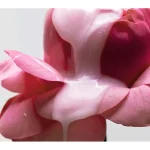 Ab-10833.webp