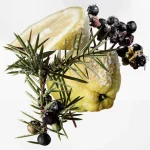 Ab-1246.webp