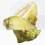 Ab-1246.webp