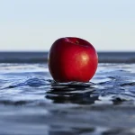 Ab-1477.webp