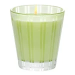 NEST New York Lime Zest & Matcha Classic Candle 230g