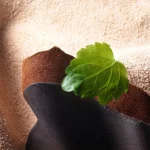 Ab-16554.webp