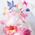 Ab-28582.webp