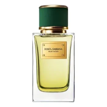 DOLCE & GABBANA Velvet Vetiver Eau de Parfum 100ml