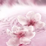 Ab-30729.webp