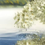 Ab-30812.webp