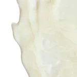 Ab-31292.webp