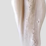 Ab-31646.webp