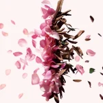 Ab-33022.webp