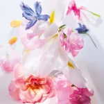 Ab-34796.webp
