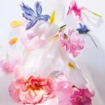 Ab-34812.webp