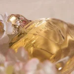 Ab-35228.webp