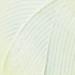 Ab-4408.webp
