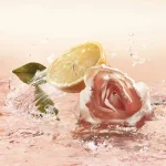 Ab-5591.webp