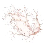 Ab-7807.webp