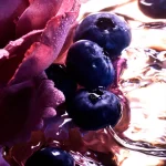Ab-789.webp