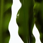 Ab-9677.webp